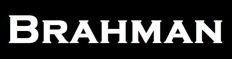 BRAHMAN logo